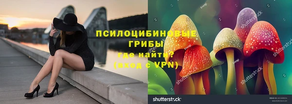 MESCALINE Вяземский