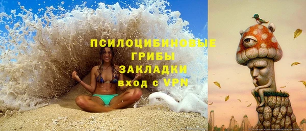 прущие грибы Тобольск