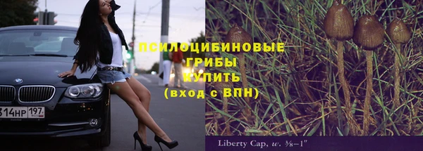 MESCALINE Вяземский